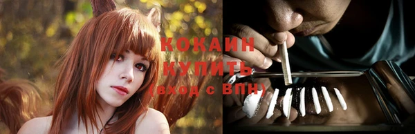 стаф Осташков
