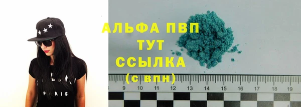 стаф Осташков
