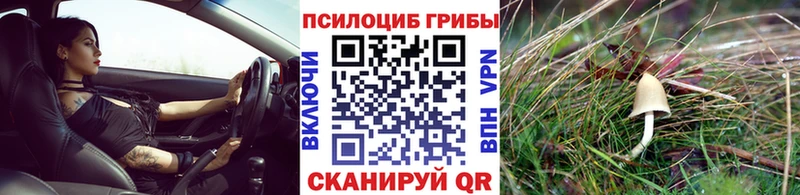 Галлюциногенные грибы ЛСД  сколько стоит  Старая Купавна 
