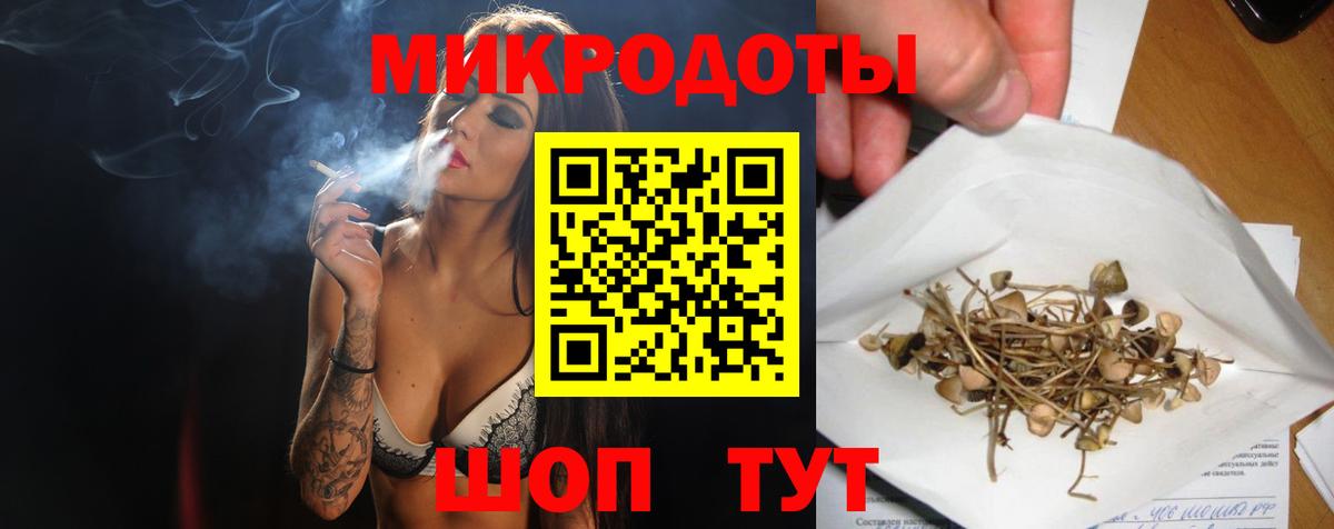 Галлюциногенные грибы Psilocybe Старая Купавна